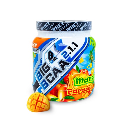 БЦАА BIG BCAA 2:1:1 400 гр