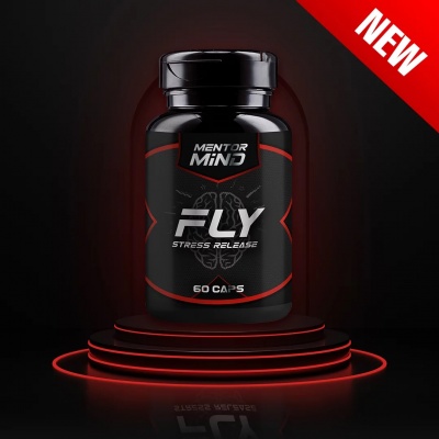   Mentor Mind Fly Stress Release 60 